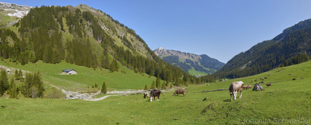 Das Gemsteltal in Österreich