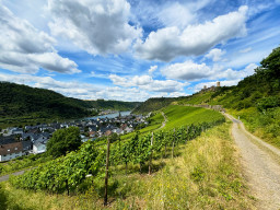 Moselsteig Etappe 22: Löf - Kobern-Gondorf
 Hero