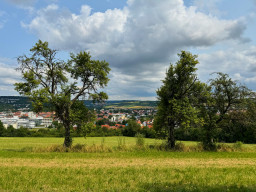Bad Mergentheim
 Hero