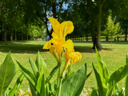 Bad Mergentheim
 Hero