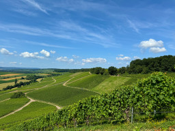 Wanderung Dürrenzimmern - Leingarten
 Hero