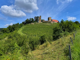 Wanderung Dürrenzimmern - Leingarten
 Hero