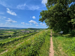 Wanderung Dürrenzimmern - Leingarten
 Hero