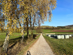 Hünfeld (Rhön)
 Hero