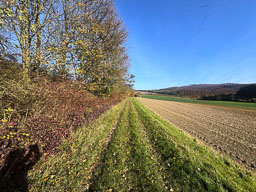 Hünfeld (Rhön)
 Hero